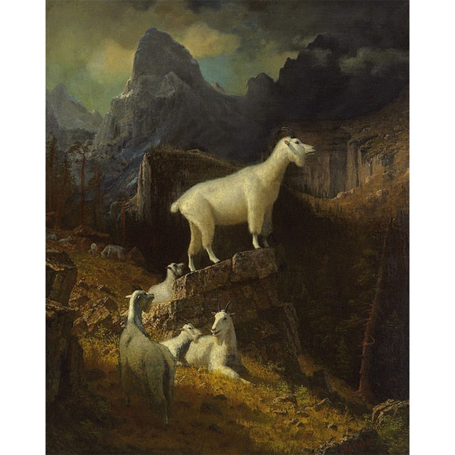 Rocky Mountain Goats by Albert Bierstadt - Van-Go Paint-By-Number Kit (F19)