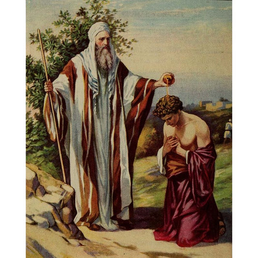 Bible Collection - Samuel anointing David (142) - Van-Go Paint-By-Number Kit