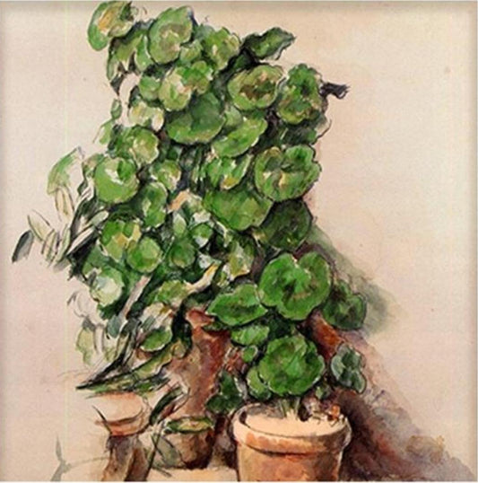 Geraniums by Paul Cezanne - Van-Go Paint-By-Number Kit